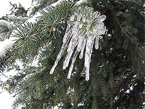 Prevent pipes & water meters from freezing