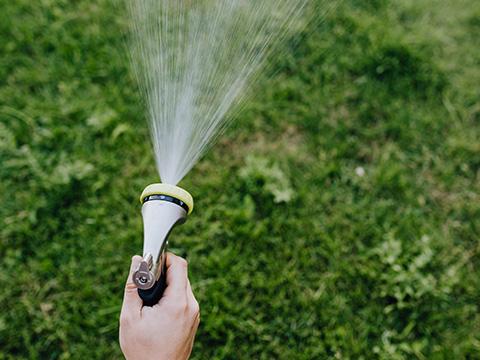 watering your yard